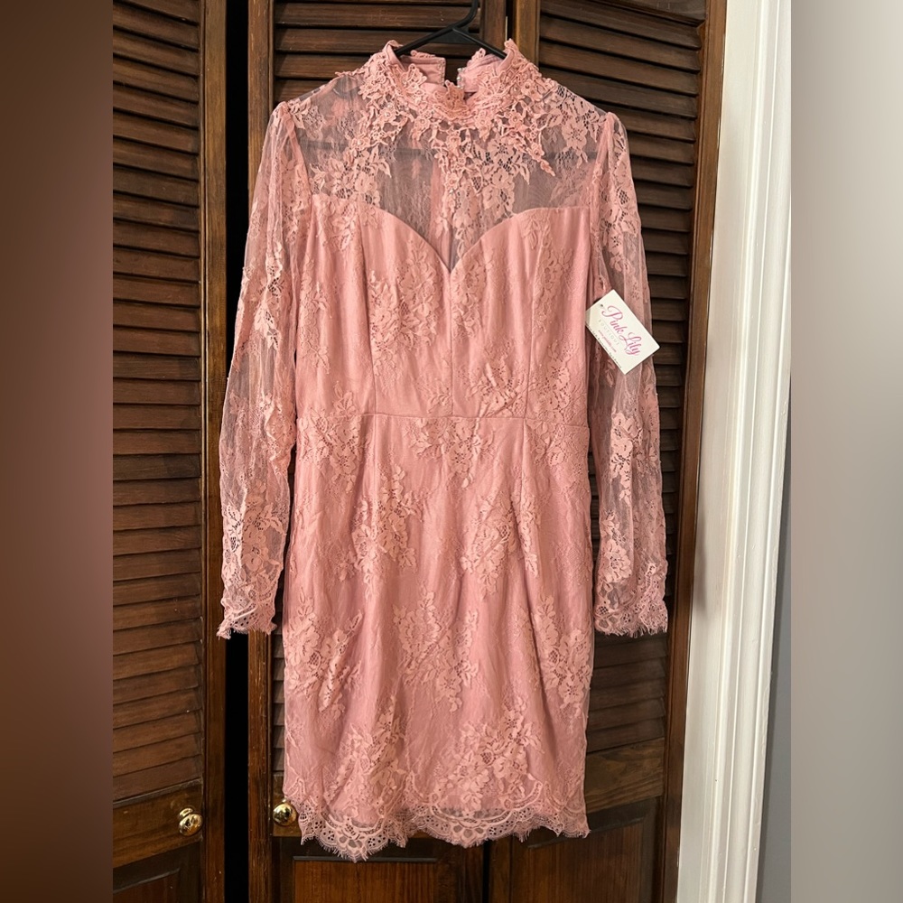 Nikibiki / Pink Lily Boutique Mauve Lace Minidress